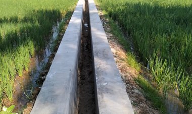 Masyarakat Ucapkan Terimakasih, Atas Dibangunnya Dua Proyek P3-TGAI Tahun 2026, Daerah Irigasi Ciangga Desa Padahayu Cikedal